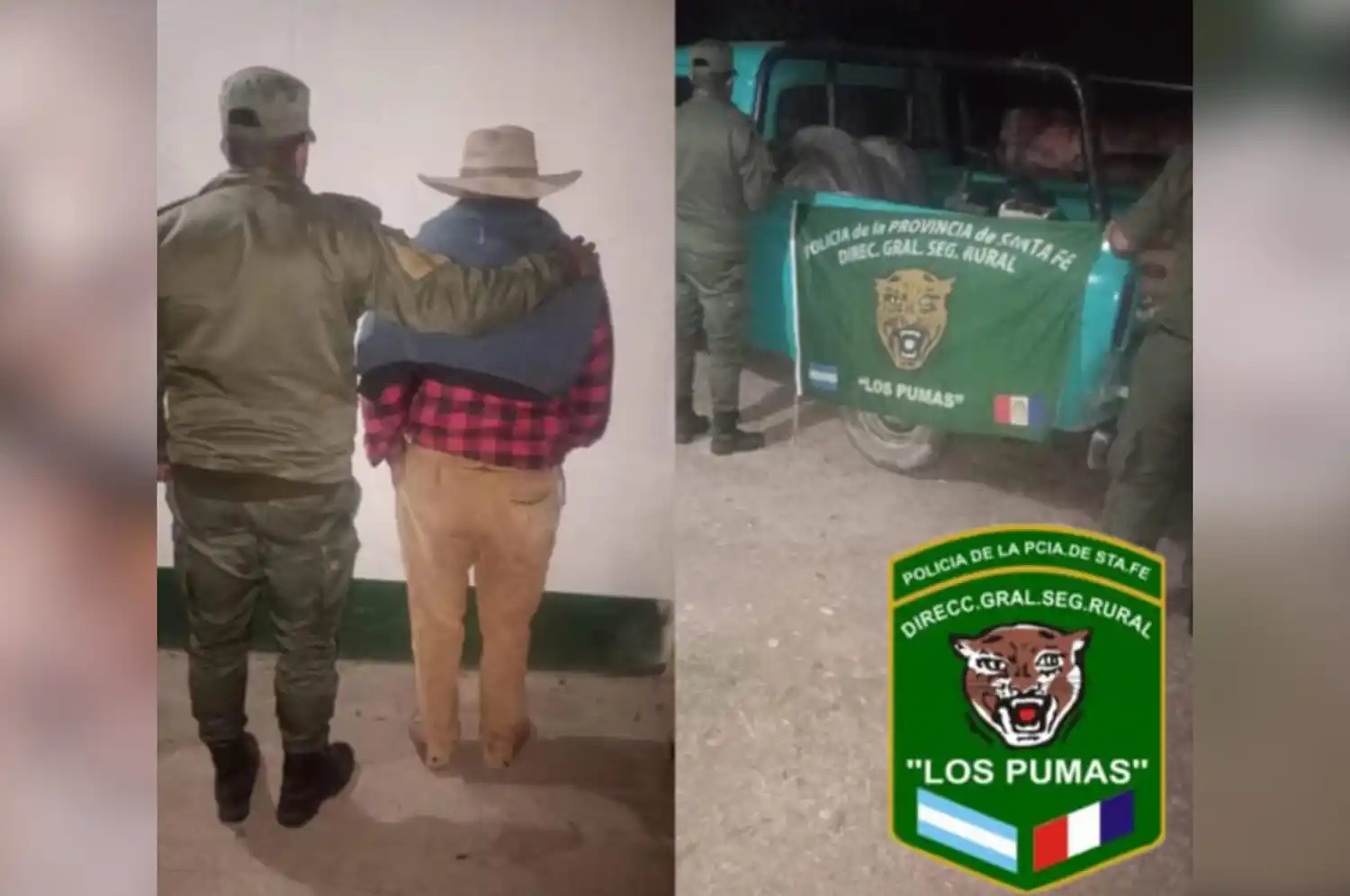 faena ilegal huanqueros los pumas - 1