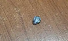 Dispararon contra una red troncal de fibra óptica y dejaron sin internet a muchos tandilenses