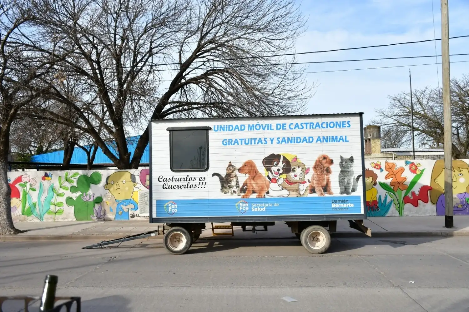Castraciones para perros y gatos: el municipio difundió el cronograma de agosto