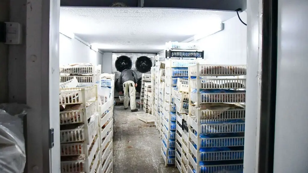 Dos frigoríficos de la provincia fueron sancionados por infringir la Ley de Pesca