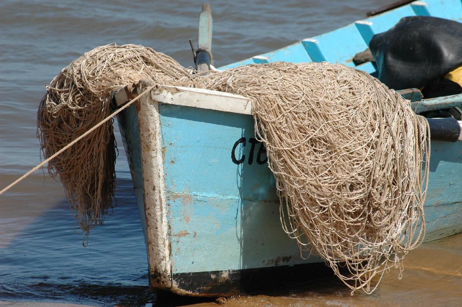 Bajante: juez prohibió la pesca en toda la provincia de Santa Fe