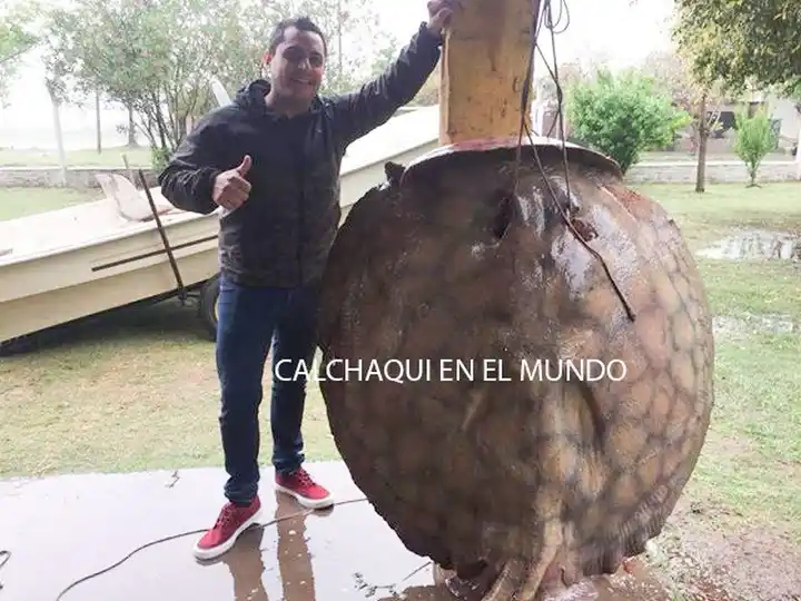 Alejandra: pescaron una raya de 120 kilos