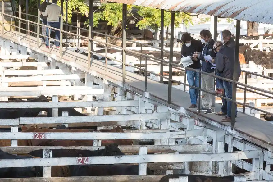 La hacienda cerró 2023 con 368% de aumento