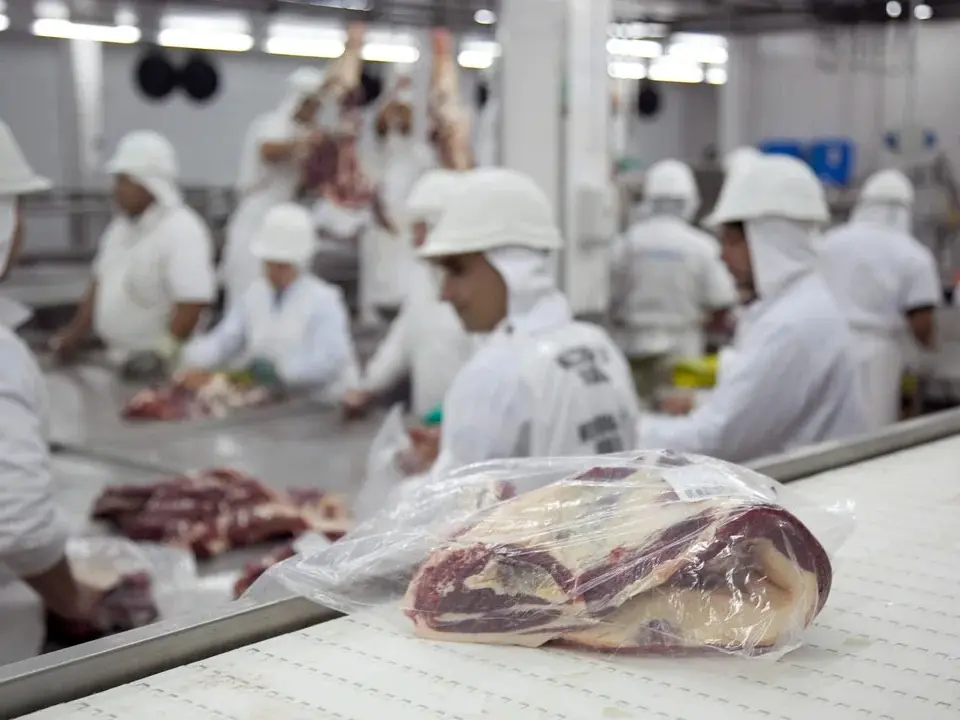 Las exportaciones de carne superaron las 900 mil toneladas en 2024