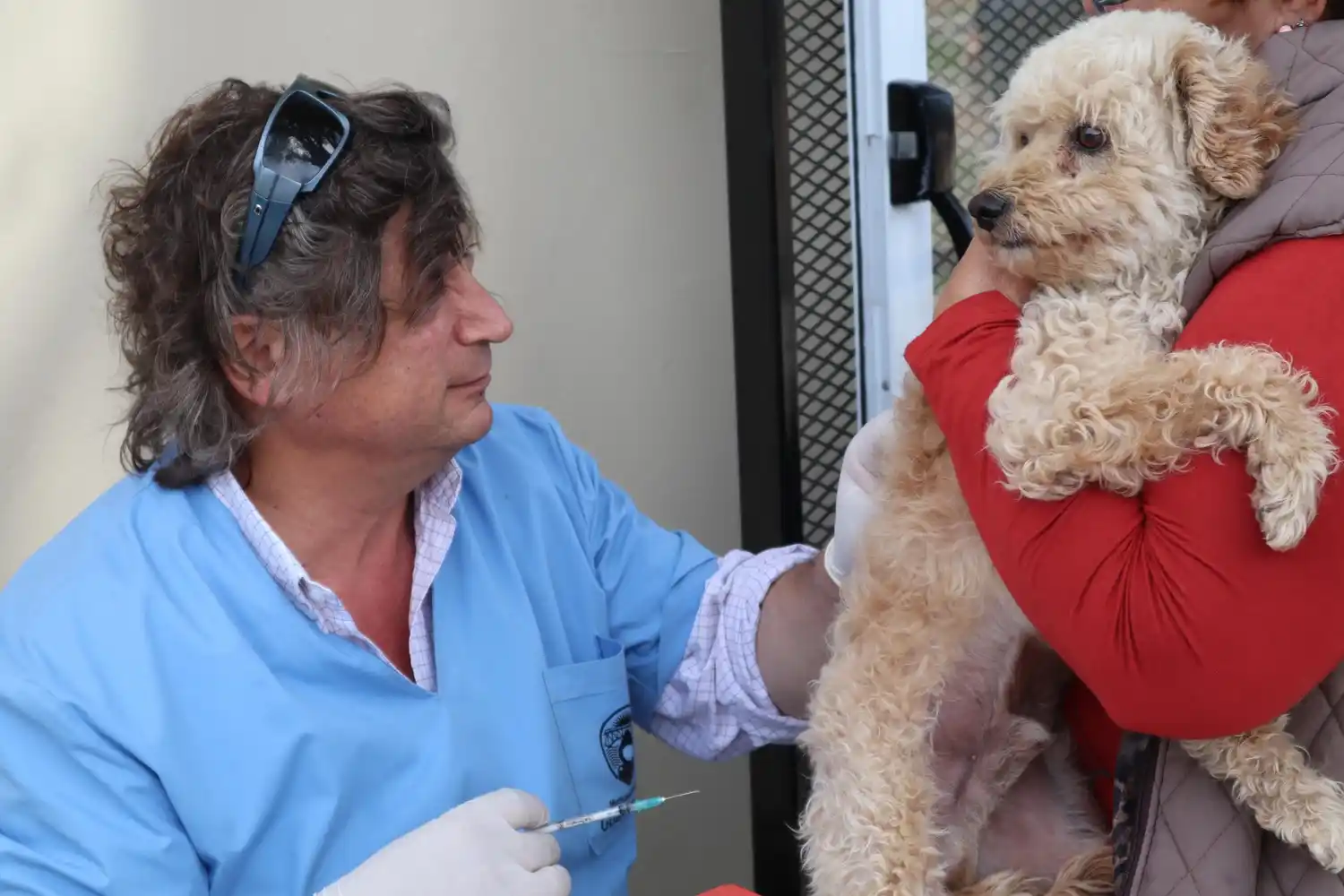 Vacunación Antirrábica en Barrio Defensa NIDO