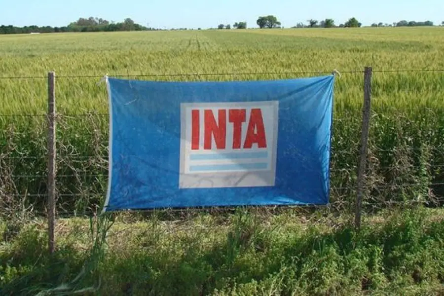 El Gobierno anunció la modernización del INTA