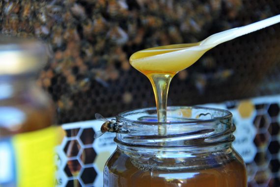 Anmat prohibió una marca de miel pura de abeja que decía ser fabricada en Tandil