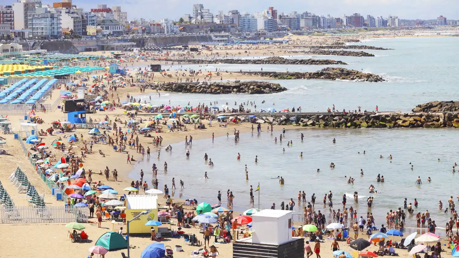 Este proceso se intensifica en Mar del Plata y la costa bonaerense por el cambio climático y la acción humana.