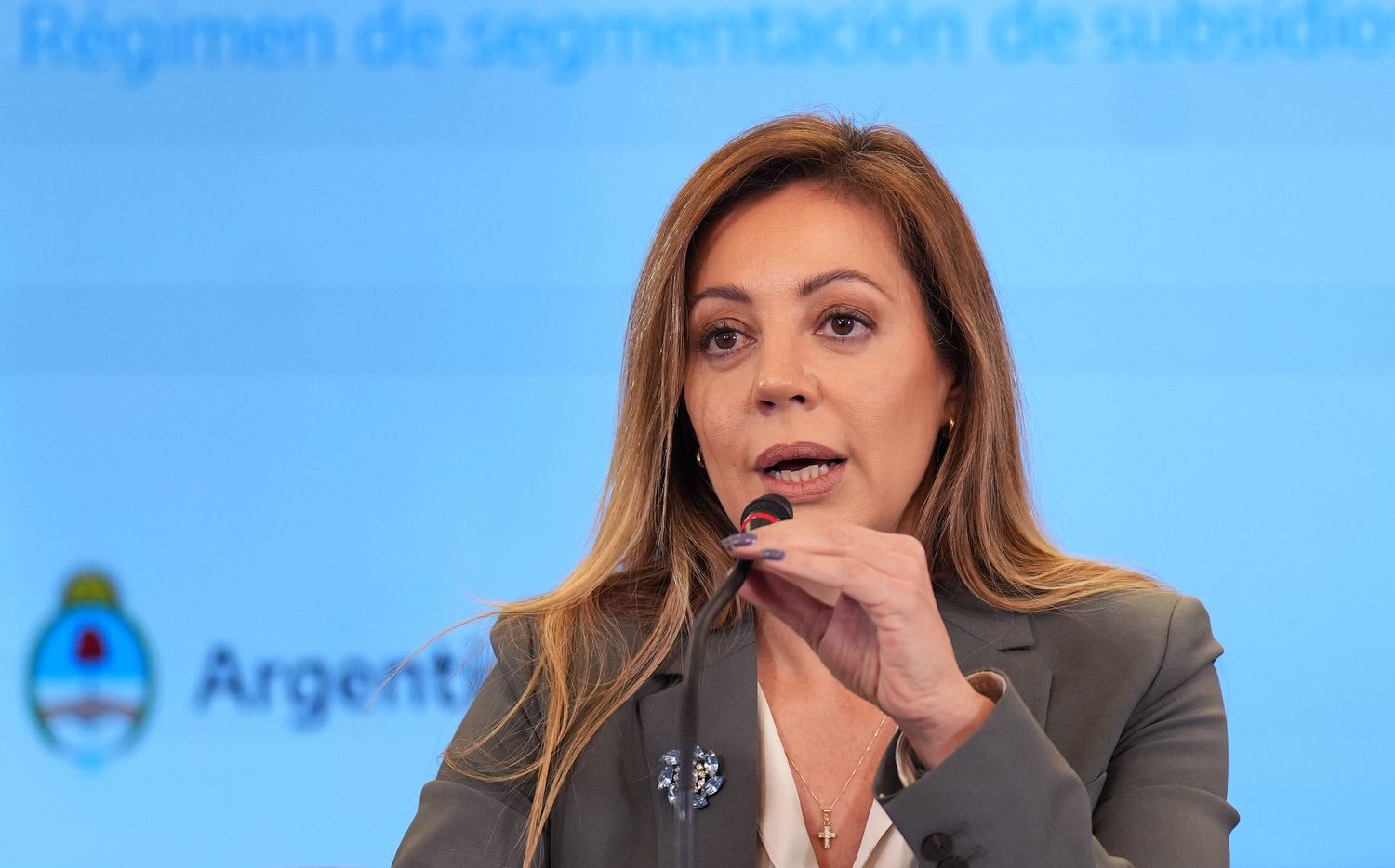 Flavia Royón, secretaria de Energía