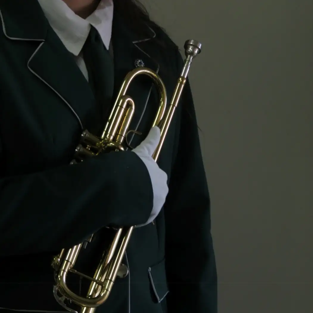 banda lisa escuela Normal