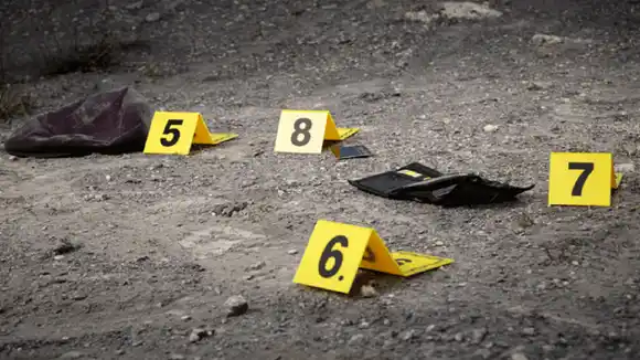 ASESINAN a 4 venezolanos recolectores de hojas de coca en COLOMBIA (+Detalles)