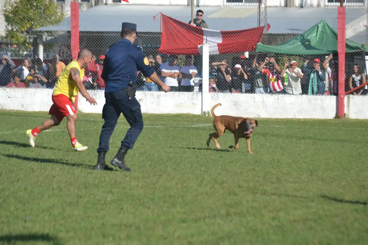 En la gráfica se observa a "Pequi" Benítez que intentó apresurar el tranco del animal, que hizo caso omiso y con su tranco corto se terminó despidiendo por el lateral.