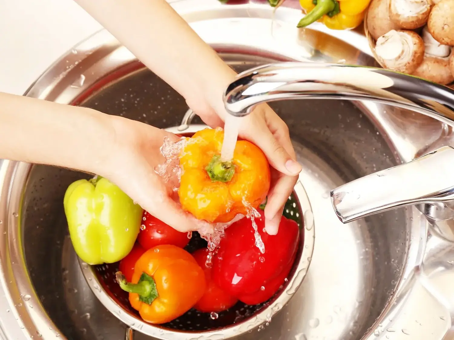 Nuevo curso de manipulación de alimentos