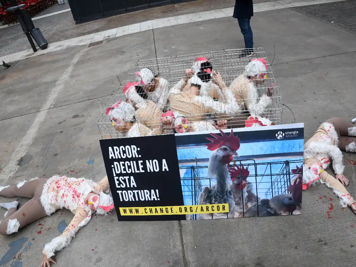 Protestan contra el sistema de jaulas en la industria del huevo con una performance 