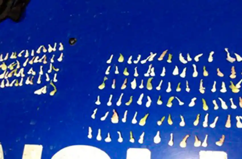 Tras espectacular persecución, los detienen en la Ruta 2 con cocaína y dinero