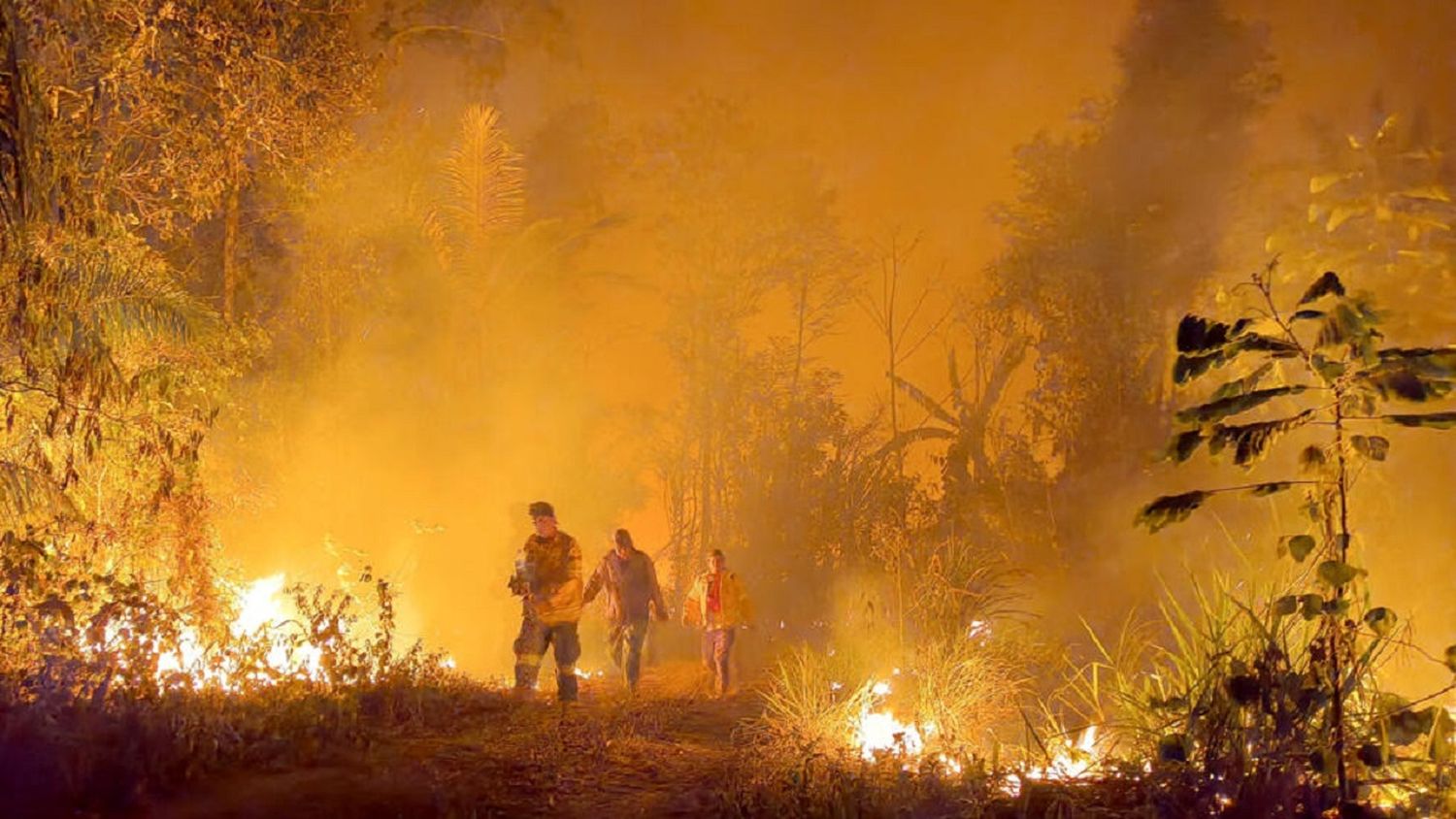 ¡ALERTA! INCENDIOS en el Amazonas aumentan emisiones de carbono a la atmósfera