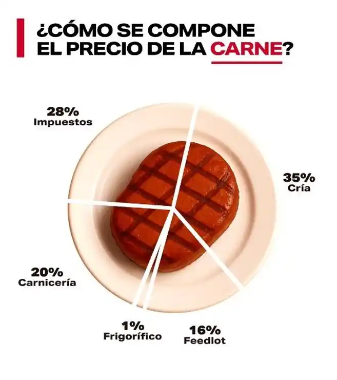 fada alimentos - 1