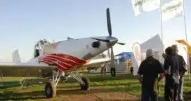 Las Cámaras Agroaéreas pusieron a disposición aviones para luchar contra las langostas