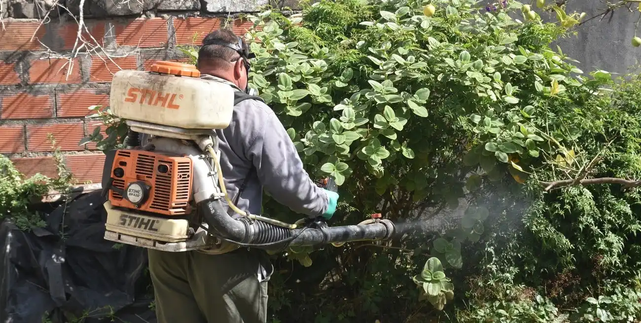 Se debe continuar con la prevención. Flavio Raina.