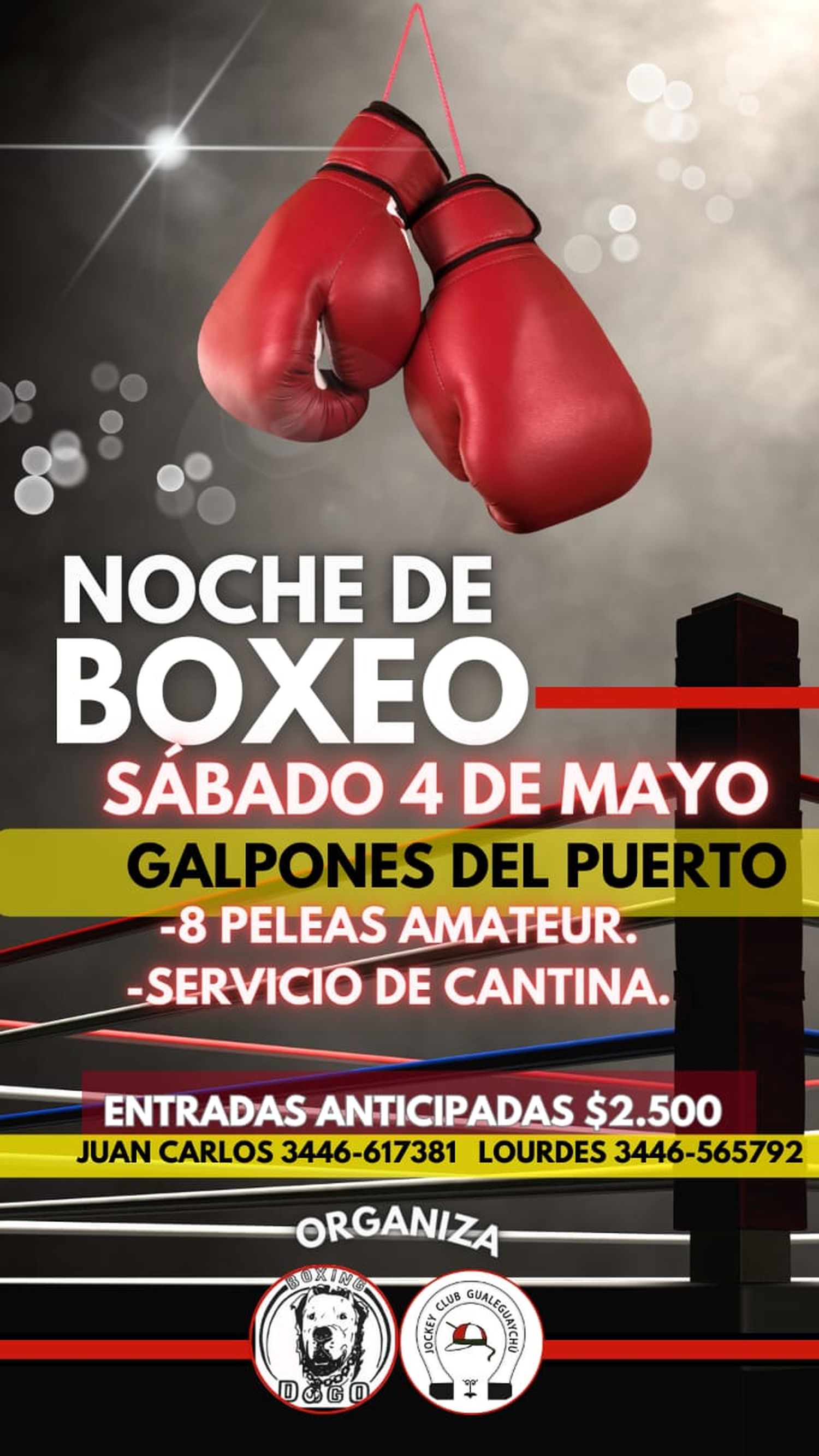 Boxeo