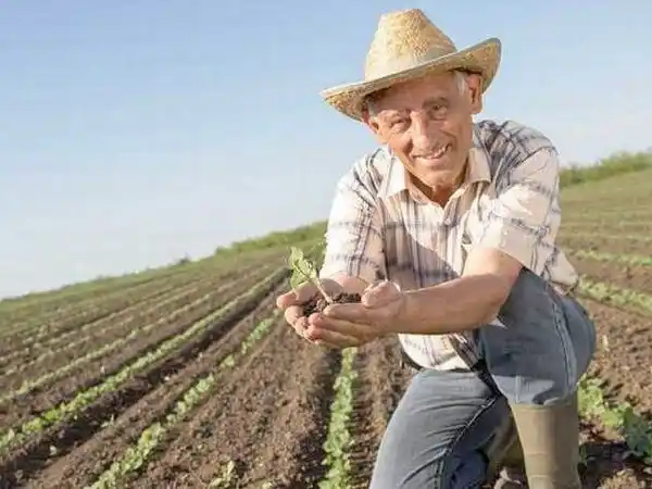 Rodríguez: “El paippero es la columna 
vertebral de la producción en Formosa”