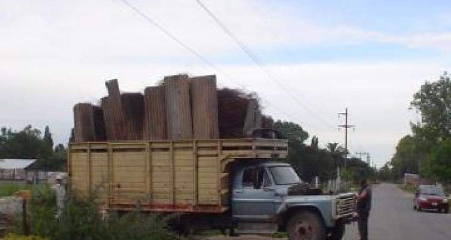 Delicado estado del hombre que recibió una descarga eléctrica