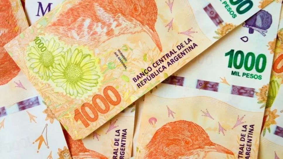 Consultoras afirman que los ingresos en Argentina caen a niveles históricos