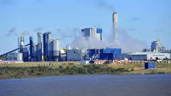 Gualeguaychú en alerta por la instalación de otra pastera