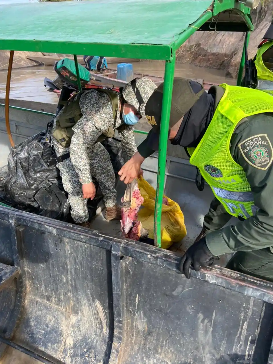 En Colombia: descuartizan tortugas para comercializar 65 kilos de su carne