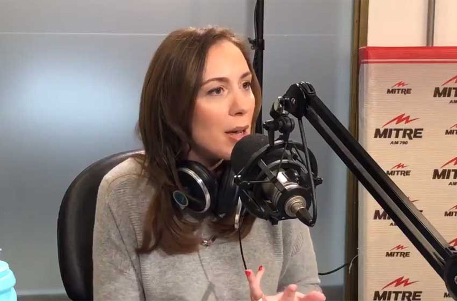 Vidal: "Yo no soy Cristina, no soy como los que se robaron la plata"