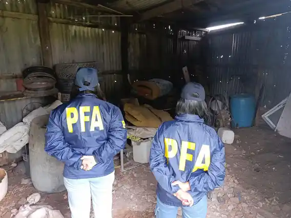 Rescataron en Entre Ríos a un hombre que fue esclavizado en un campo y tenía que sobrevivir de la caza