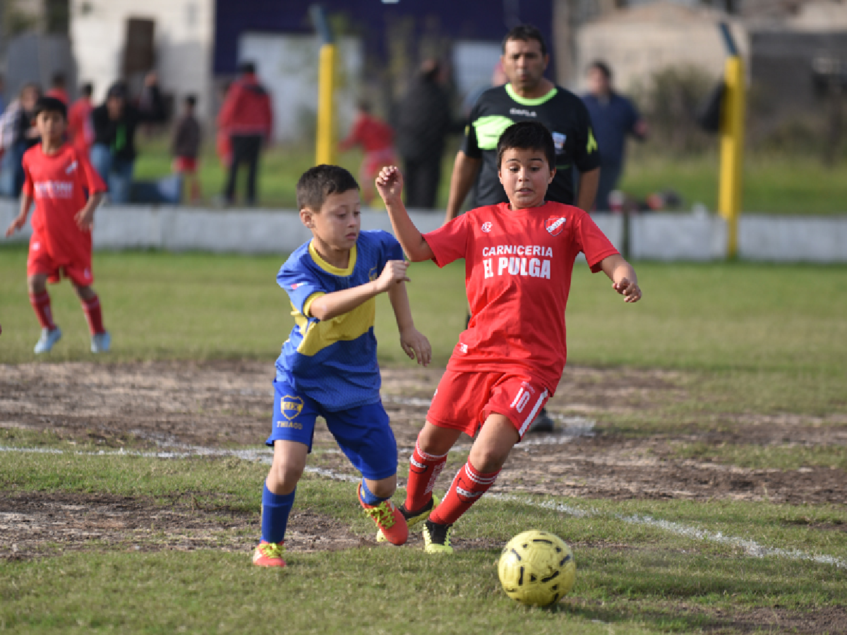 Los chicos a la cancha
