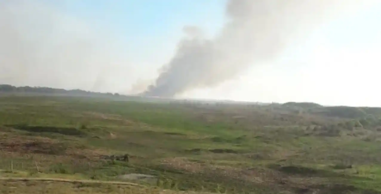 Fuego en las islas: detectan un foco al sur del puente a Victoria