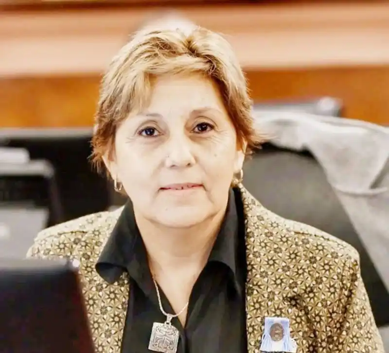 Diputada Salinas: “El Pacto de Mayo es un hito histórico”