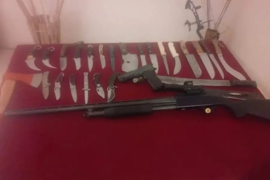Un “arsenal”: robaron más de 20 cuchillos, armas de fuego y un arco de flechas