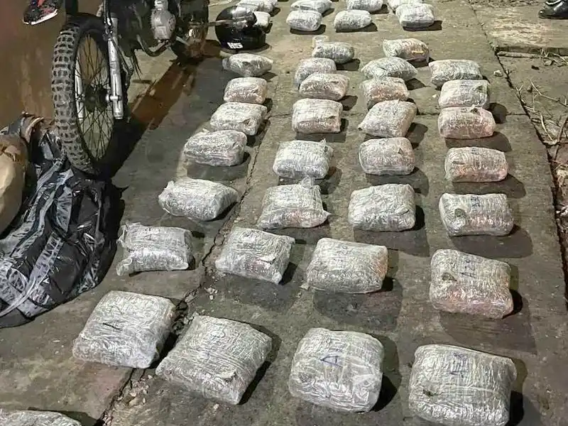 La Policía secuestró más de 52 kilos de marihuana