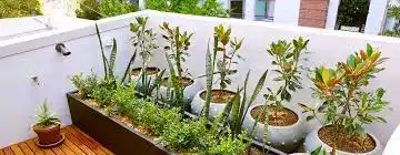 huerta espacio - 1