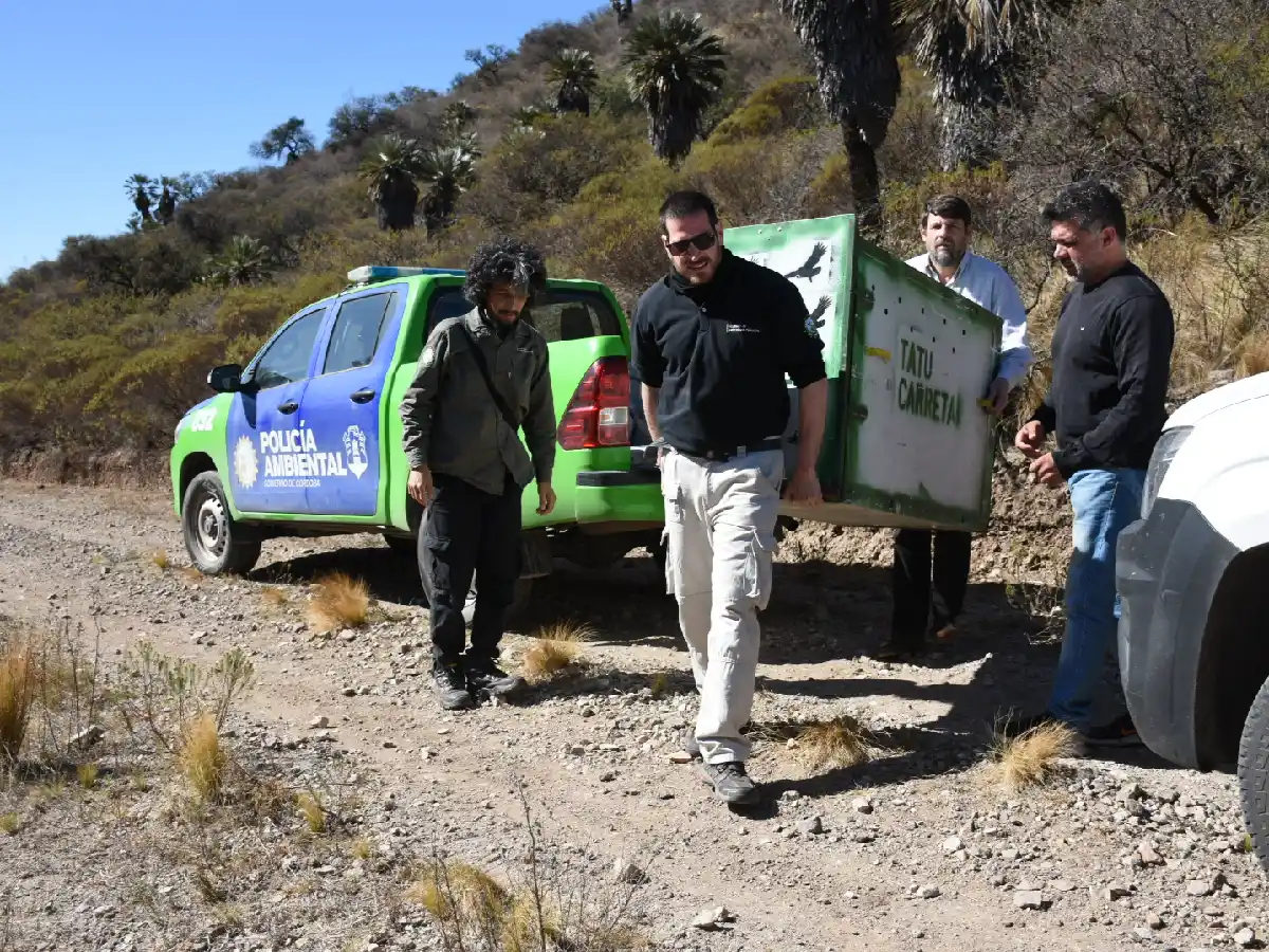 Policía Ambiental regresó a la naturaleza a siete animales silvestres