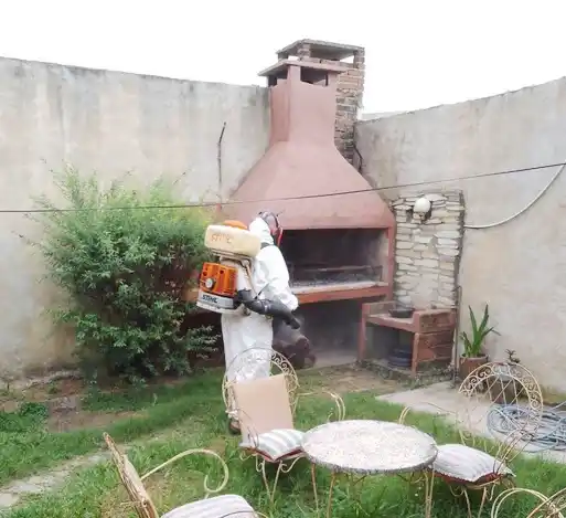 Programa de fumigación barrial