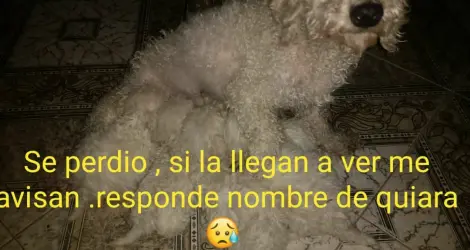 Buscan a Quiara