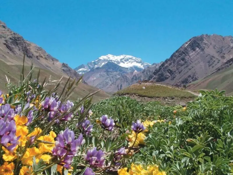 Buen vino, paisajes y gastronomía