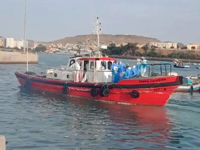 Brote de hantavirus en un crucero: identificaron la cepa Andes, la única de las 38 conocidas que puede transmitirse entre personas