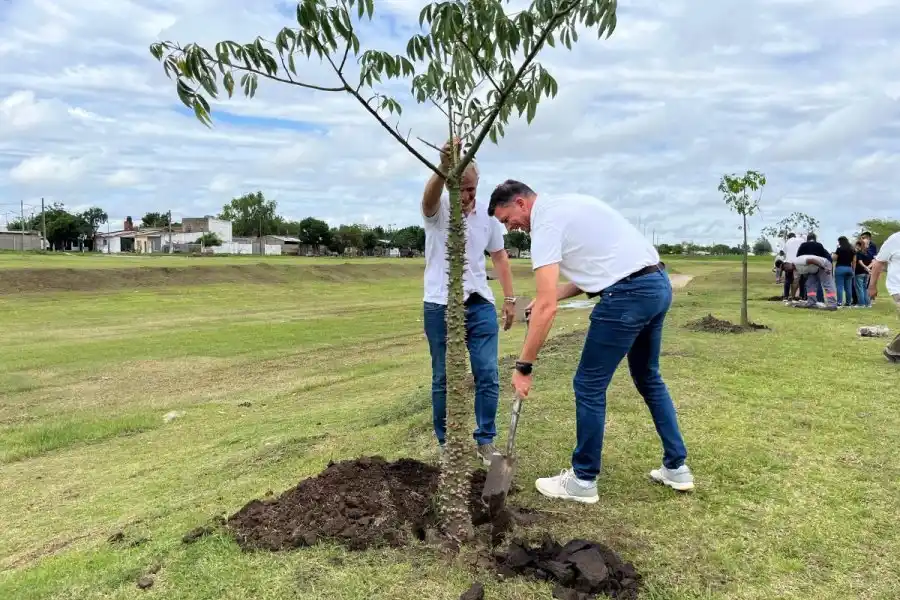 Articulación institucional y arbolado urbano