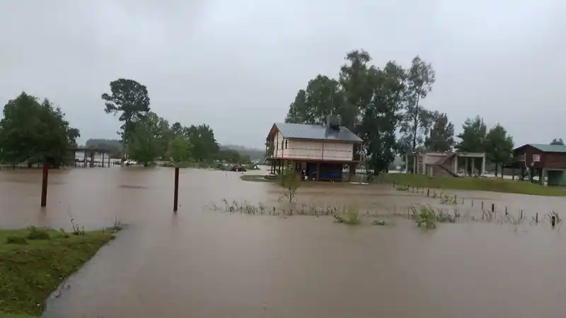 Se profundiza la evacuación de ganado vacuno en el sur de la provincia