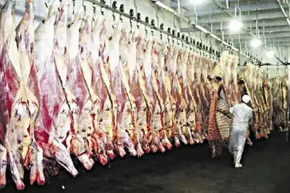 Las exportaciones de carne subieron casi un 10% entre enero y octubre