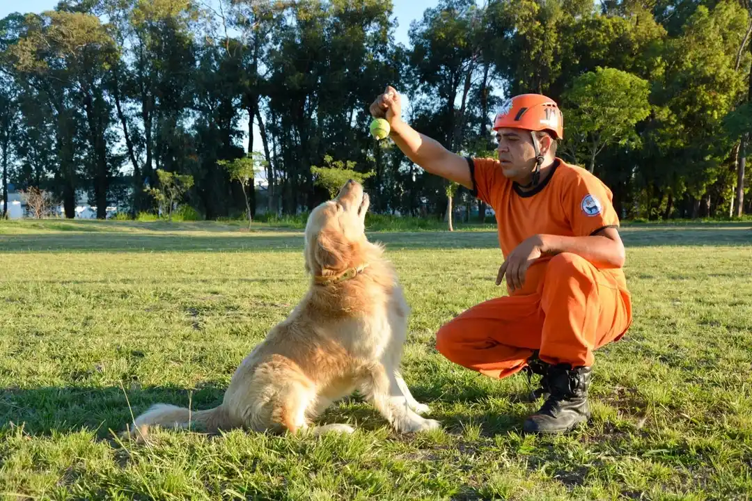 Los Bomberos de San Francisco están de luto: fallecieron Aaron y Dayco, dos queridos perros de su brigada