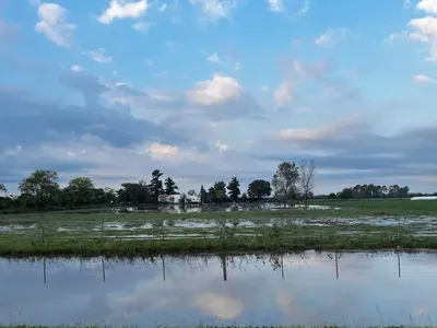 Cuál fue el impacto en el campo de las lluvias del fin de semana