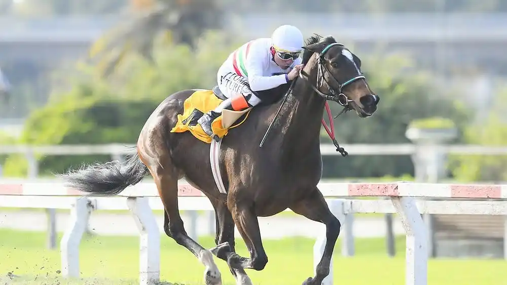 Martana, referente entre las yeguas fondistas, es la candidata en el Biaus (G2), en la arena de Palermo.