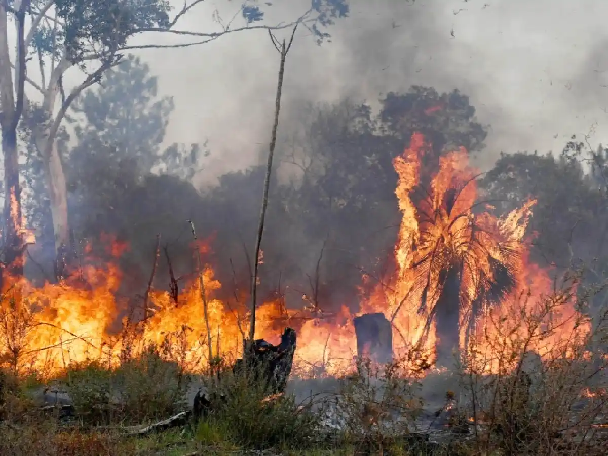Un peón rural es el primer condenado por los incendios en Corrientes