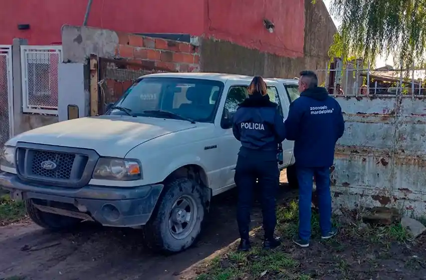Rescataron 16 perros del abandono y maltrato animal